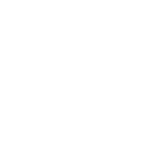 Checklist checklist