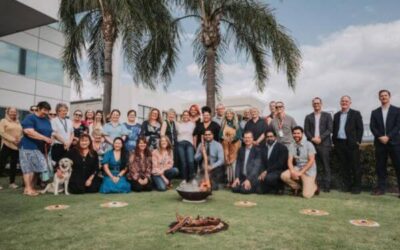 Avivo’s journey to elevated payroll operations and governance